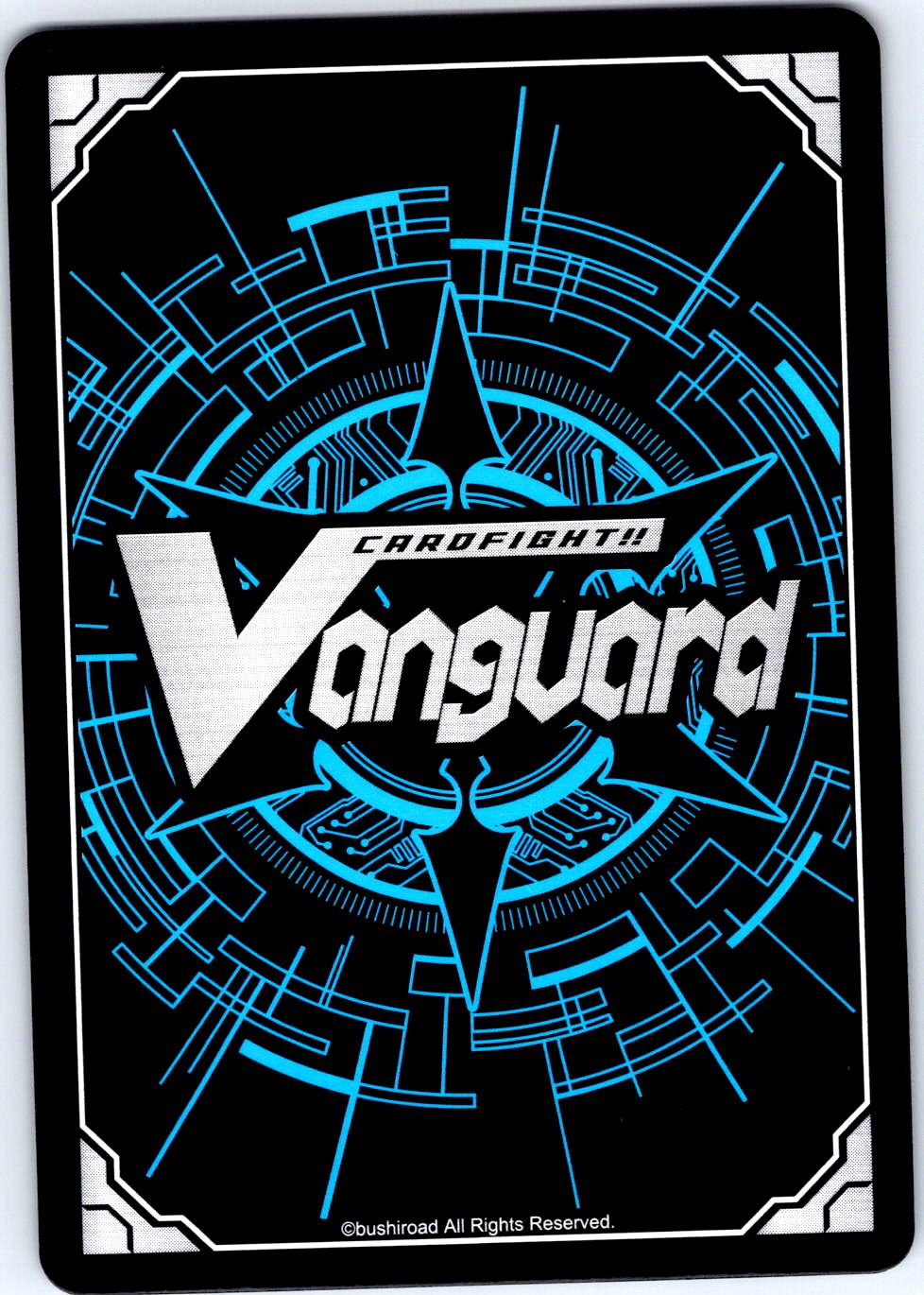RETURN TO THE OTHER SHORE D-BT08/061EN C CARDFIGHT!! VANGUARD MP