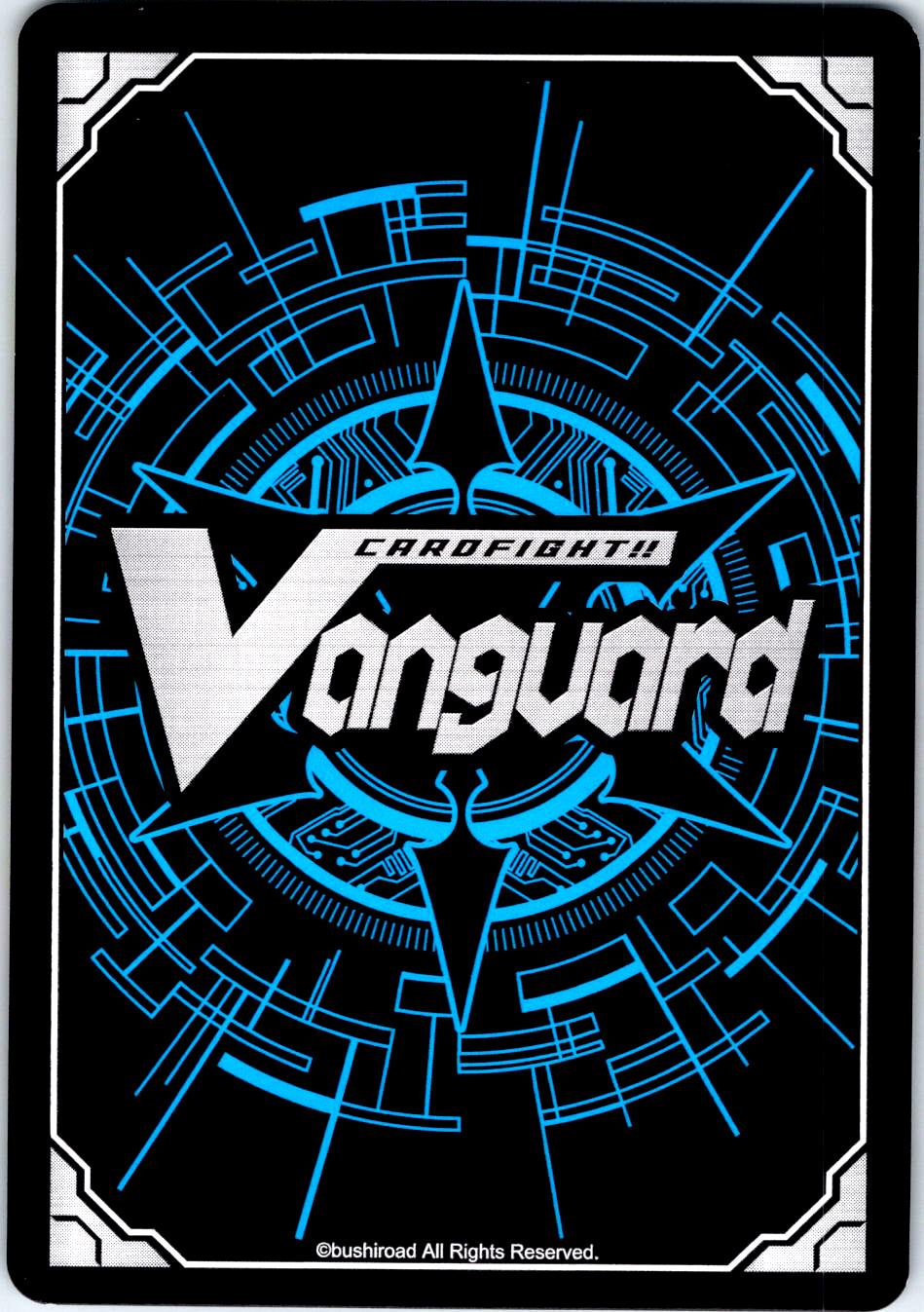 DIMENSIONAL ROBO, GOBIKER V-BT08/071EN C C CARDFIGHT!! VANGUARD MP