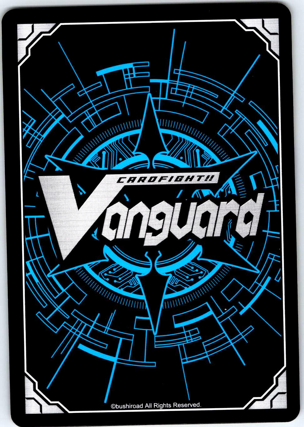 INHERITED SOUL OF A JAGUAR, MIC D-TB03/148EN C CARDFIGHT!! VANGUARD MP