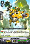 Jocular Cicada