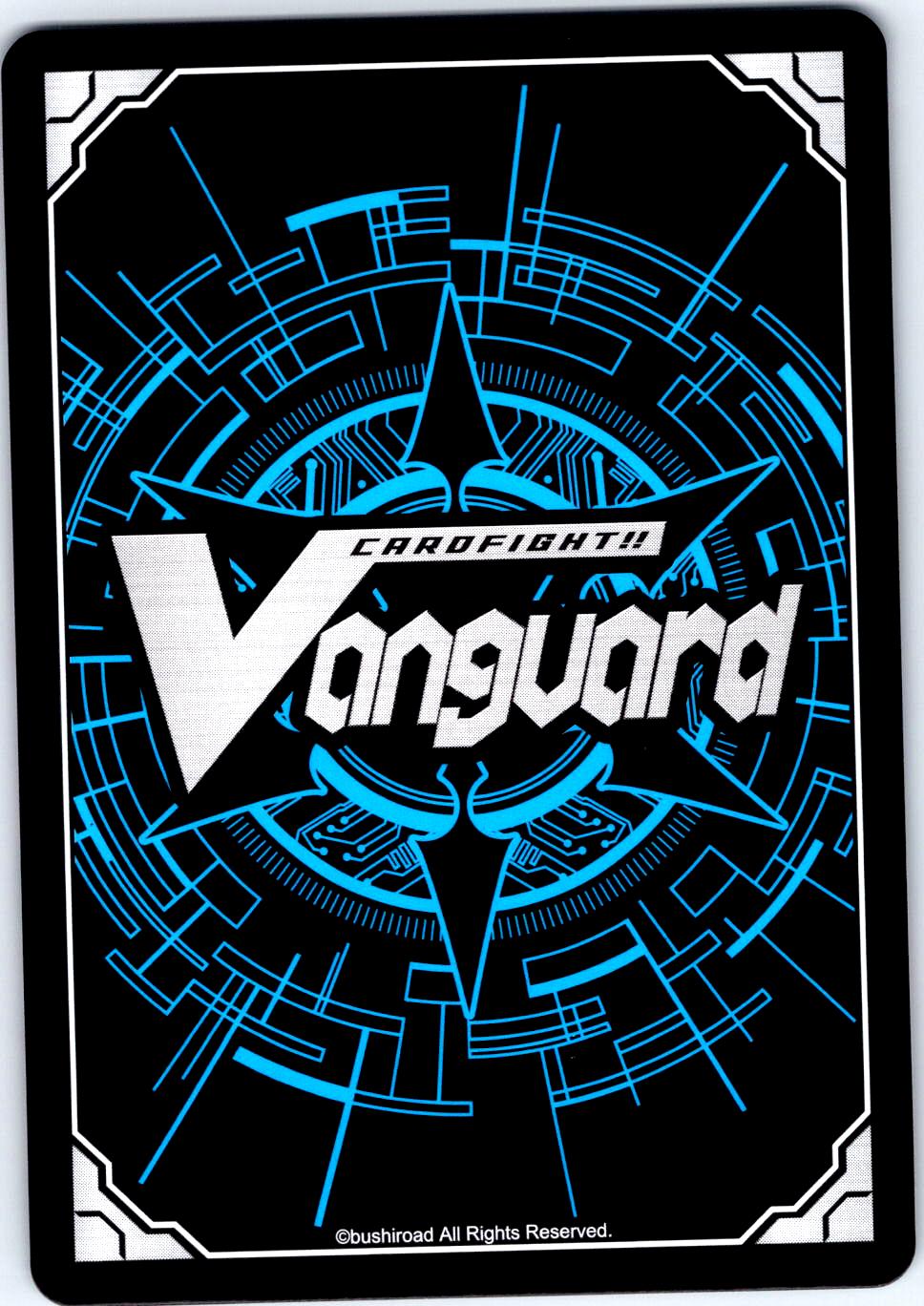 FRUITION DRAGON DZ-BT14/088EN C CARDFIGHT!! VANGUARD LP