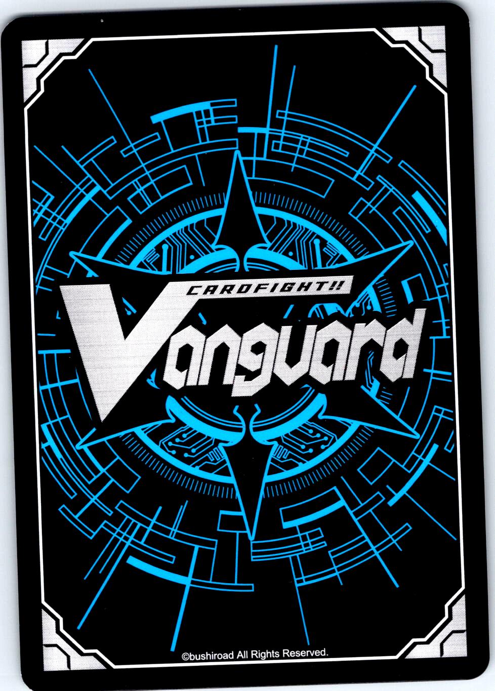IRON ANCHOR RESENTMENT DRAGON D-BT02/109EN C CARDFIGHT!! VANGUARD MP