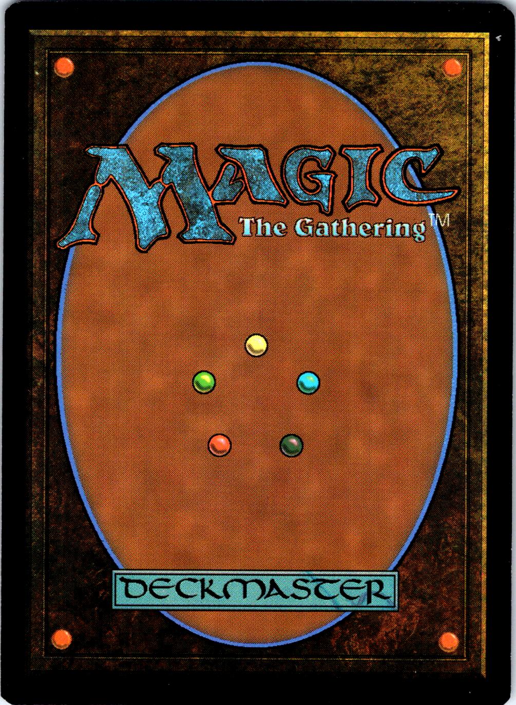 THE HUNTER MAZE 253 C MAGIC: THE GATHERING MP