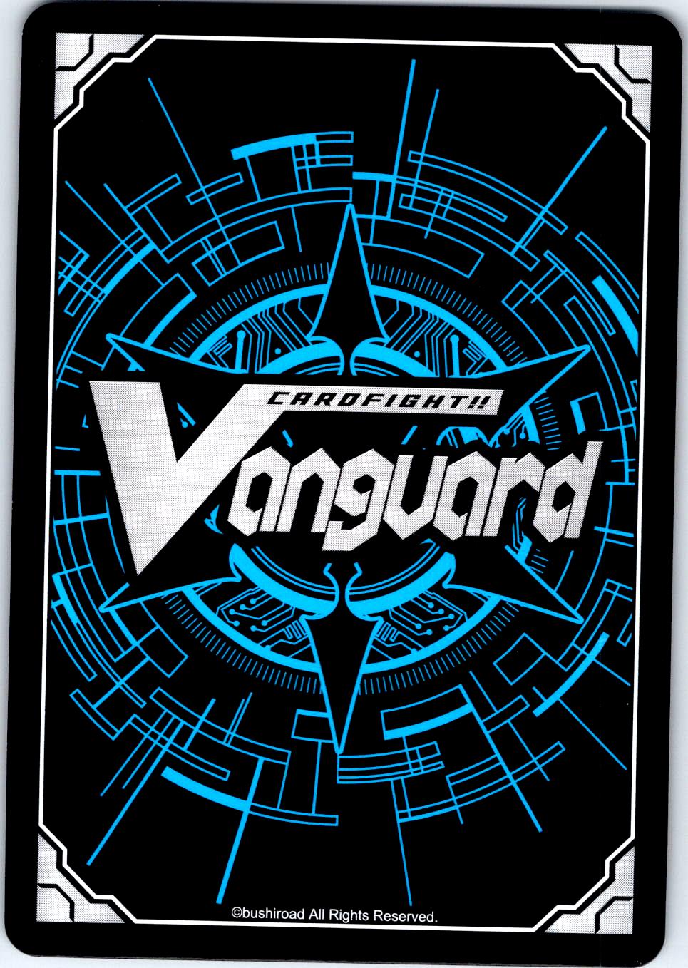 RESENTMENTS DRAGON (FR) D-BT09/FR27EN FRAME RARE CARDFIGHT!! VANGUARD MP