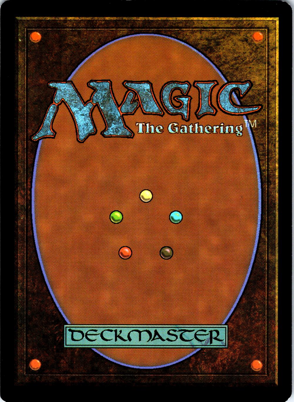 IMMERSTURM RAIDER 141 C MAGIC: THE GATHERING MP