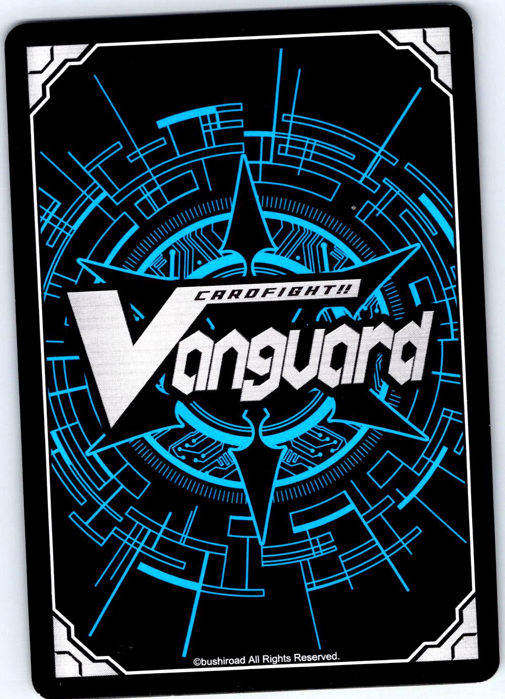 BELOVED CHILD OF SUPERSTRING THEORY V-EB06/045EN C CARDFIGHT!! VANGUARD MP
