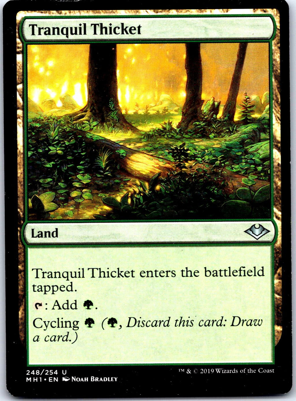TRANQUIL THICKET 248 UC MAGIC: THE GATHERING MP