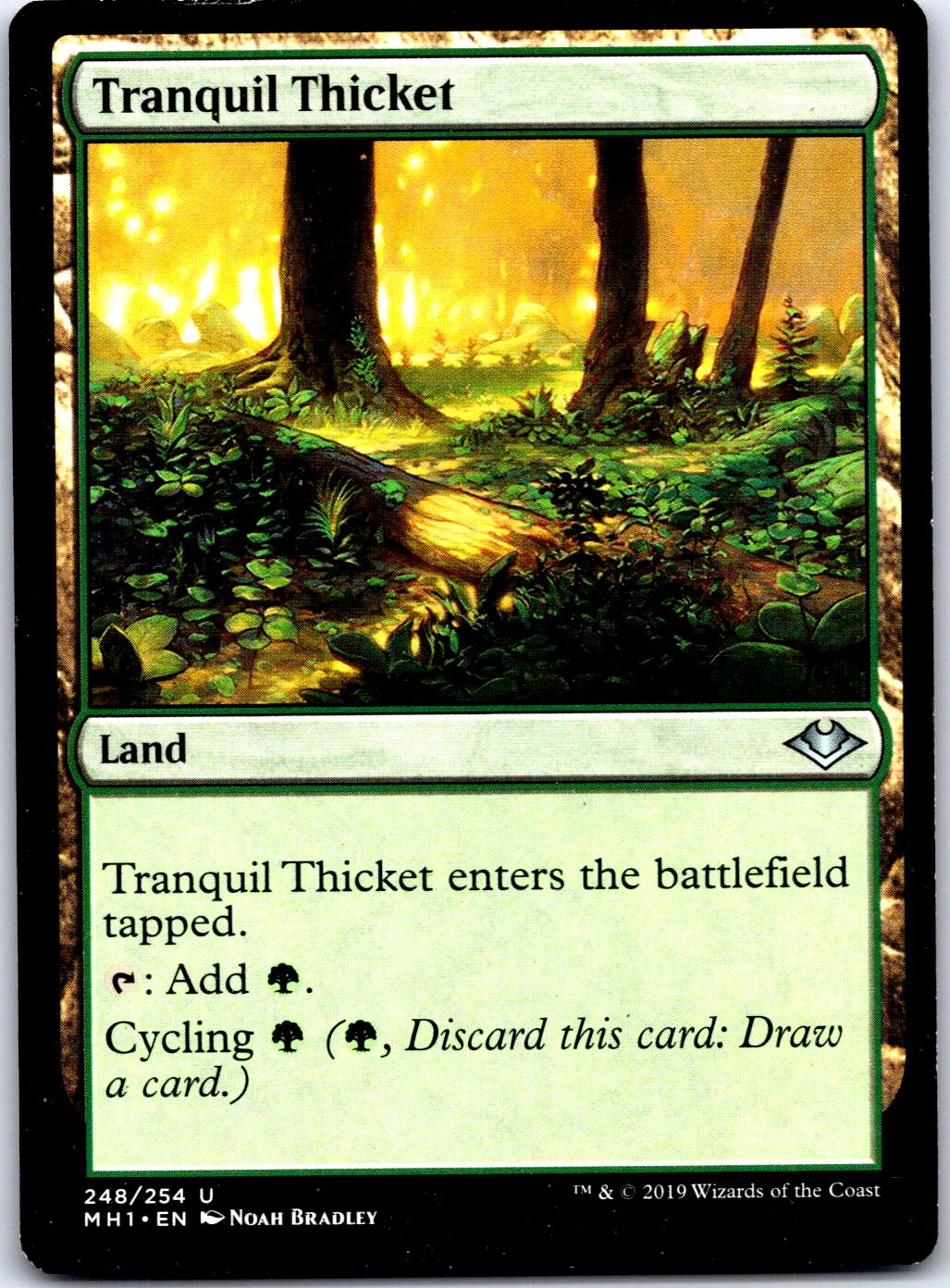TRANQUIL THICKET 248 UC MAGIC: THE GATHERING MP