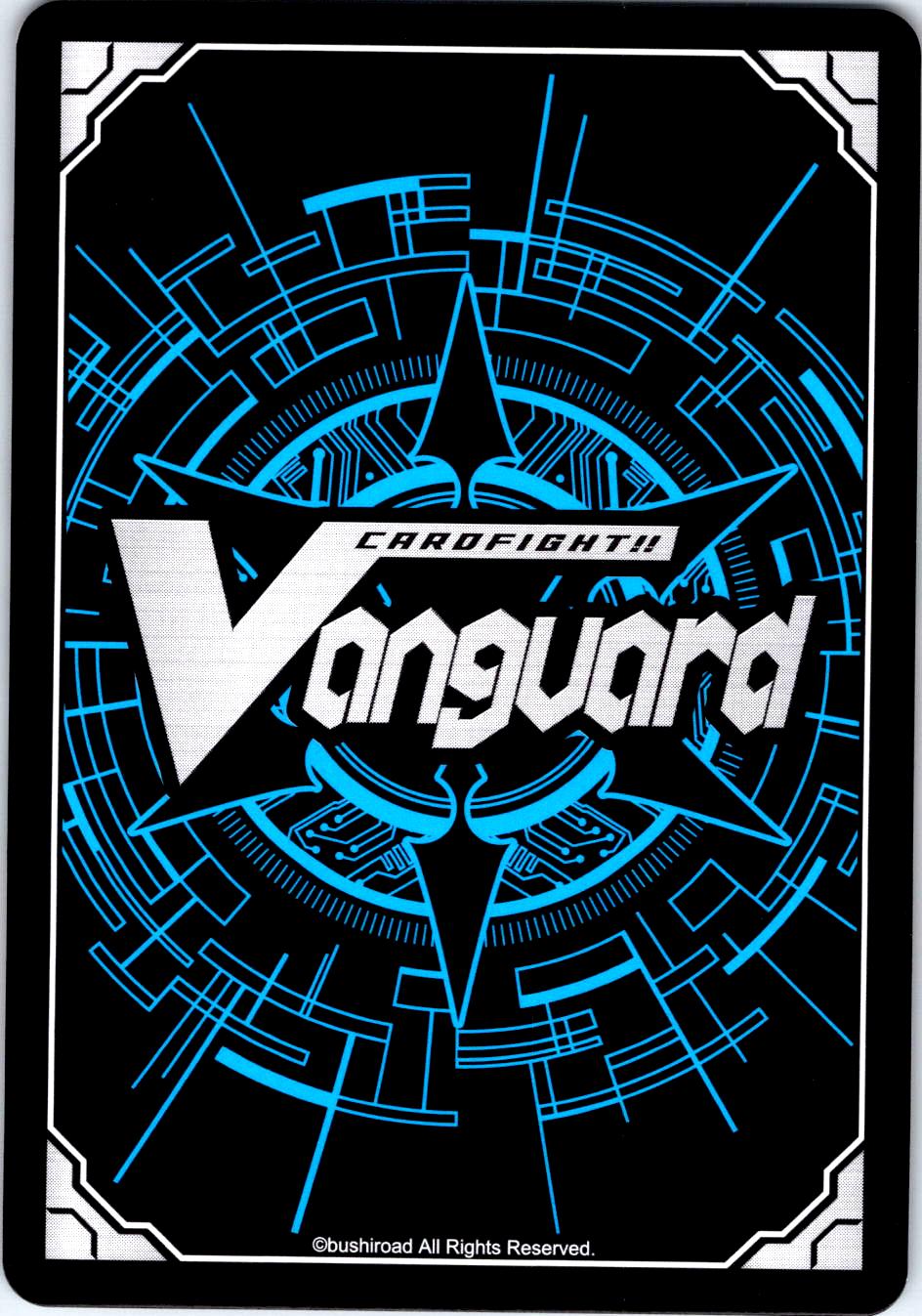 FLAWLESS ARRANGMENT, DEUTY DZ-LBT02/073EN C CARDFIGHT!! VANGUARD MP