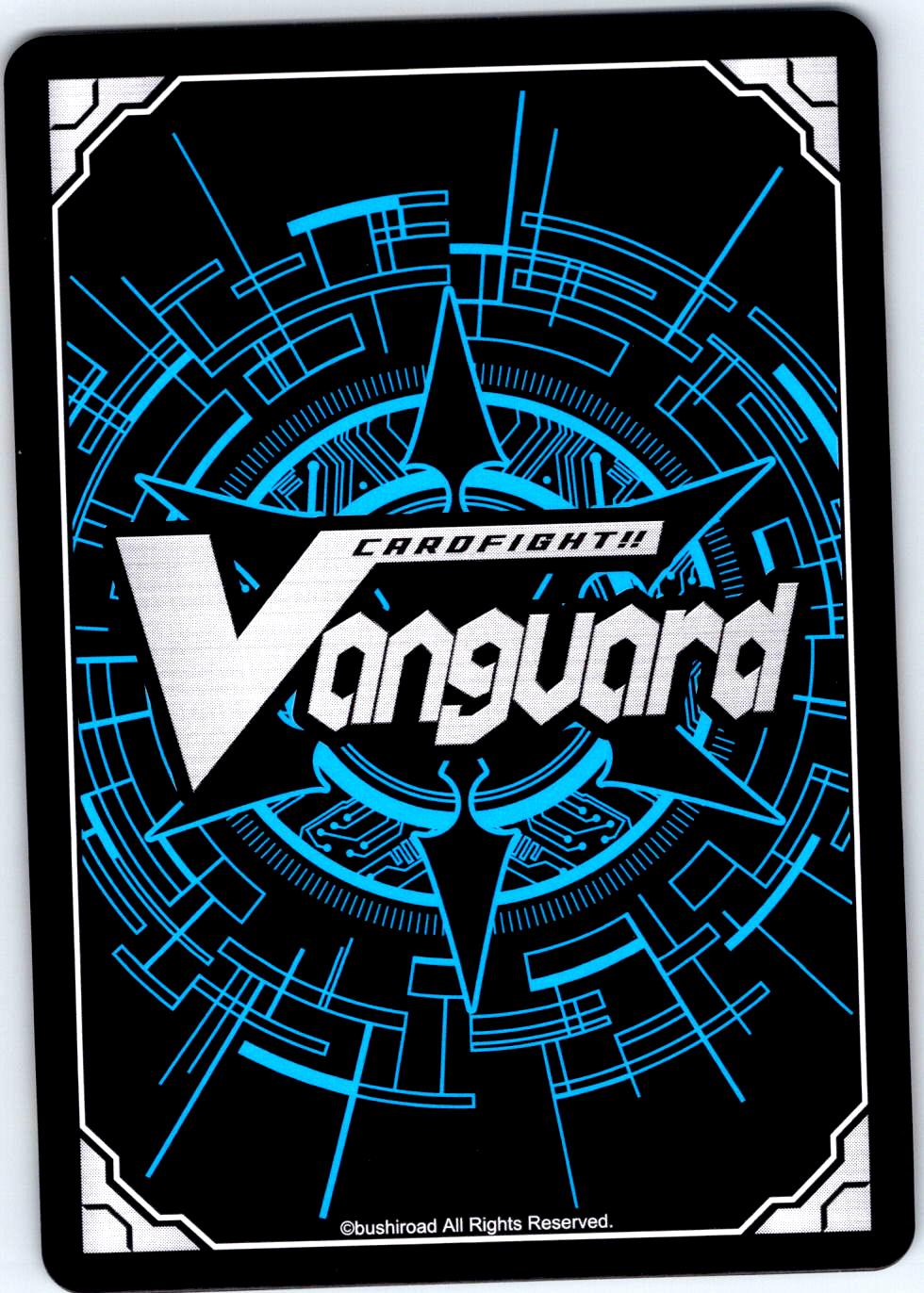 WINTER BAZAAR, TRHY DZ-LBT02/079EN C CARDFIGHT!! VANGUARD LP