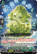 One Who Arrived at Paradise, FuriFuri Lettuce
