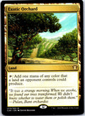 EXOTIC ORCHARD 273 R MAGIC: THE GATHERING MP