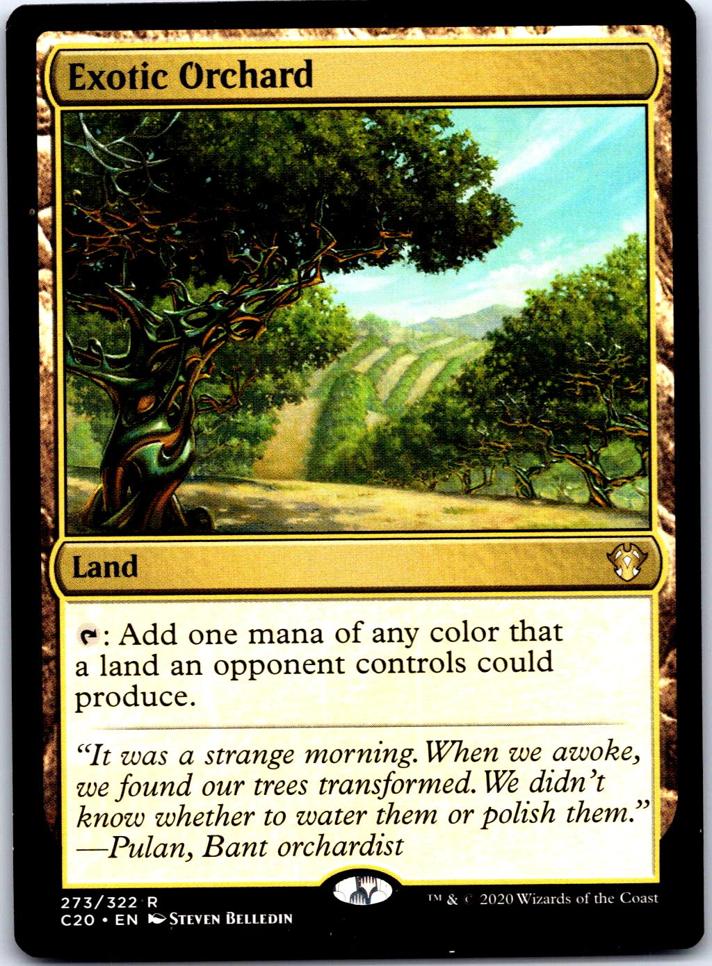 EXOTIC ORCHARD 273 R MAGIC: THE GATHERING MP