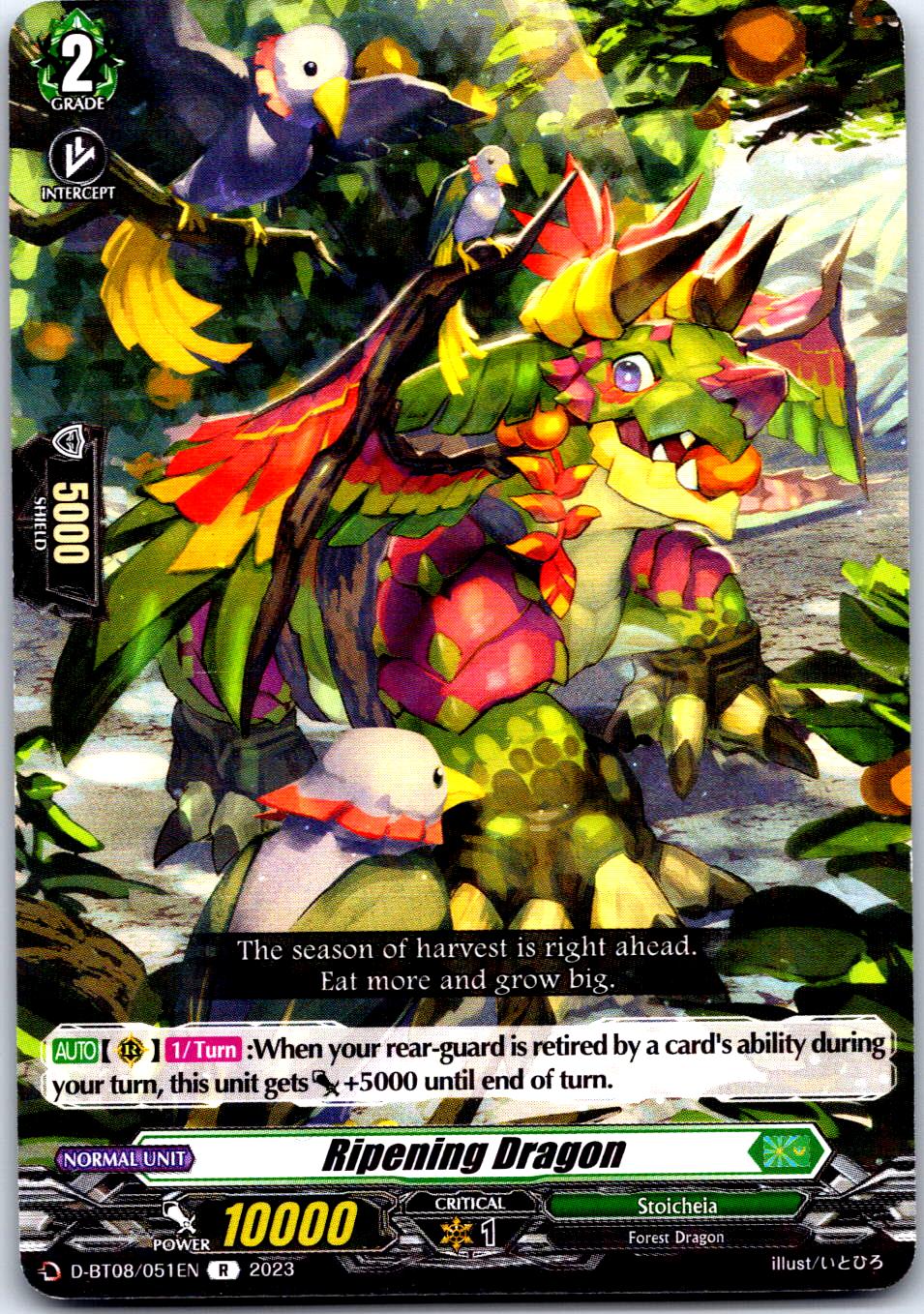 RIPENING DRAGON D-BT08/051EN R CARDFIGHT!! VANGUARD MP