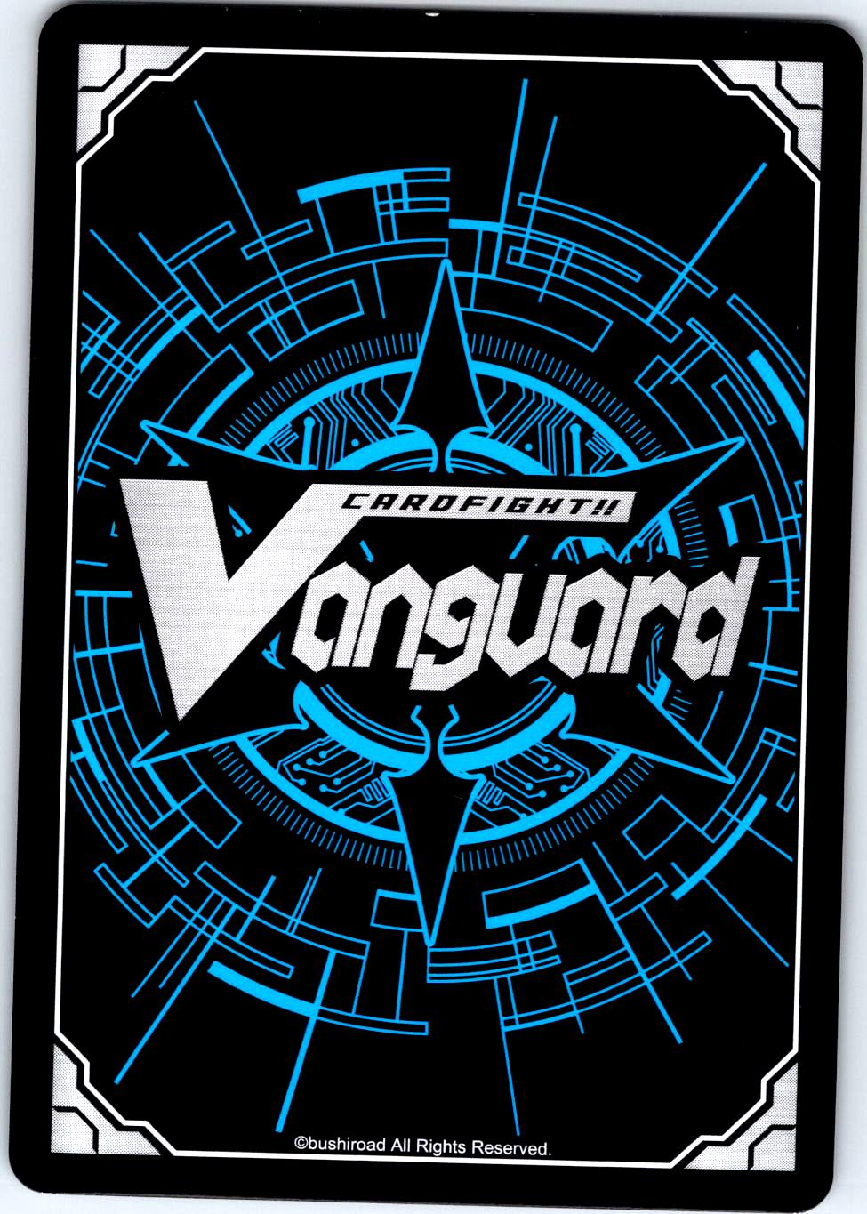 BONDS BETWEEN HUMANS AND DRAGONS DZ-BT01/085EN C CARDFIGHT!! VANGUARD MP
