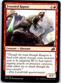 FRENZIED RAPTOR 120 C MAGIC: THE GATHERING MP