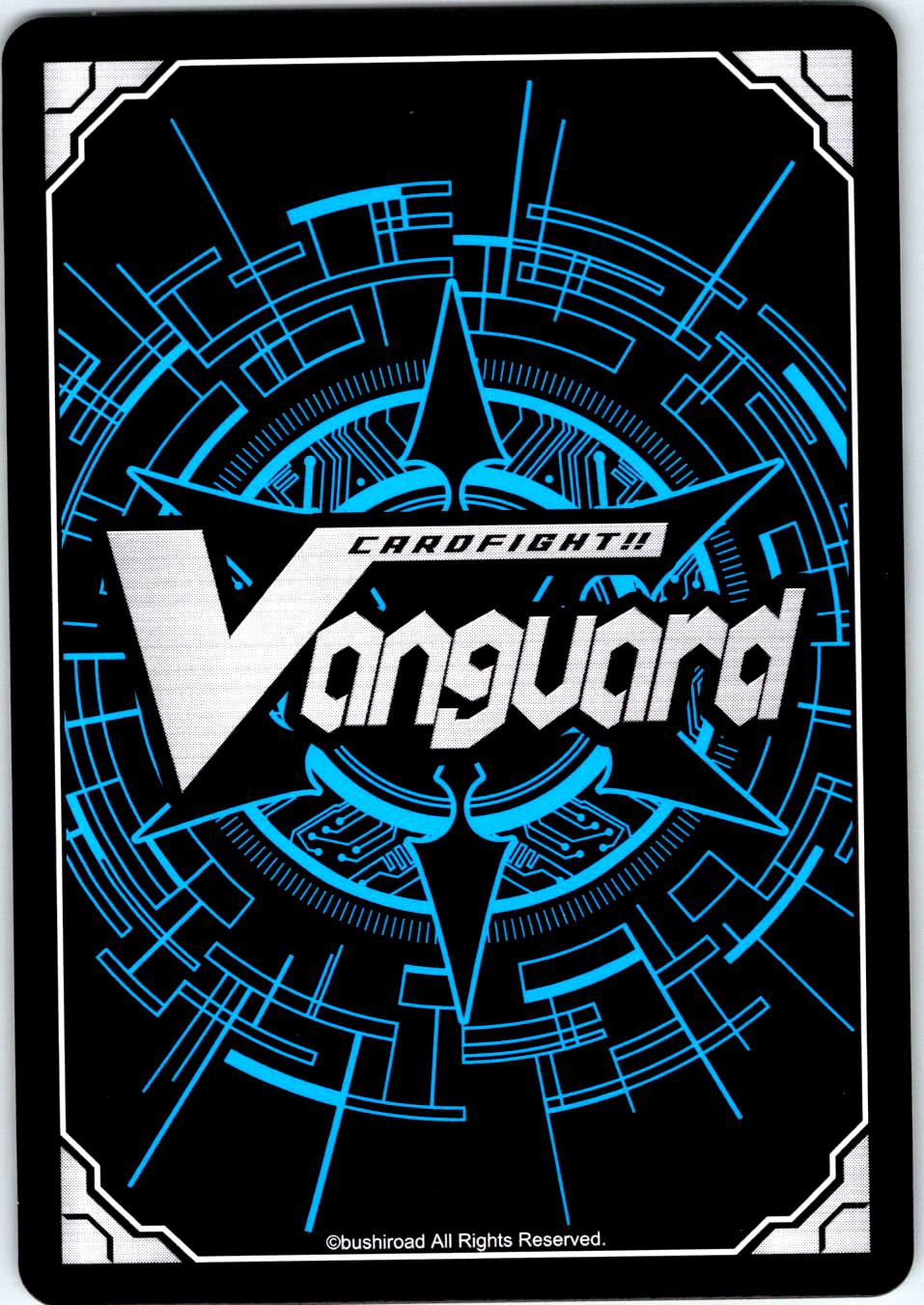 WHO ARE THESE GUYS...? DZ-SS05/033EN C CARDFIGHT!! VANGUARD MP