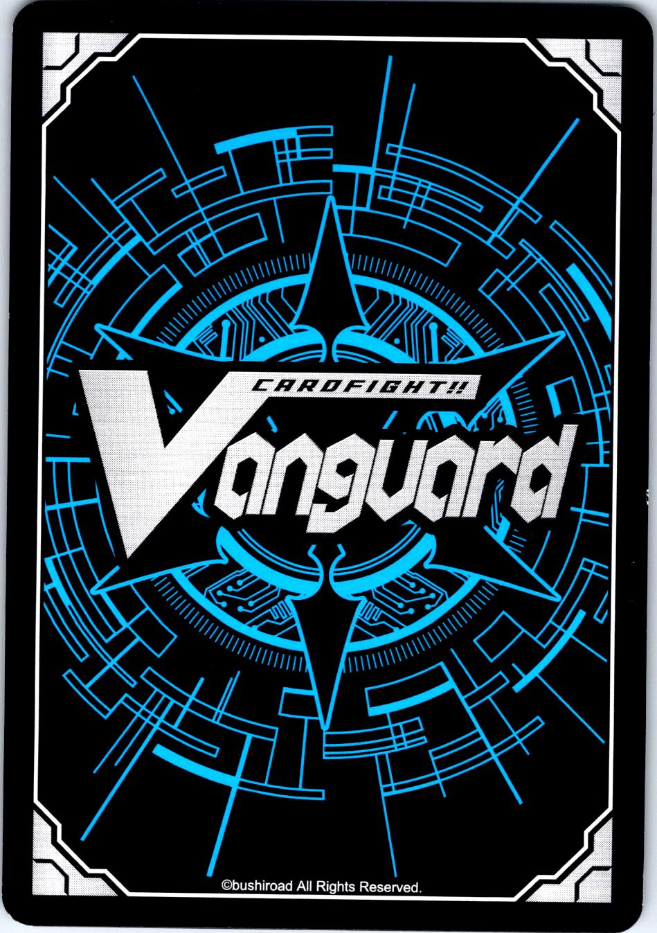 SPIRITUAL BODY CONDENSATION D-BT01/055EN R CARDFIGHT!! VANGUARD MP
