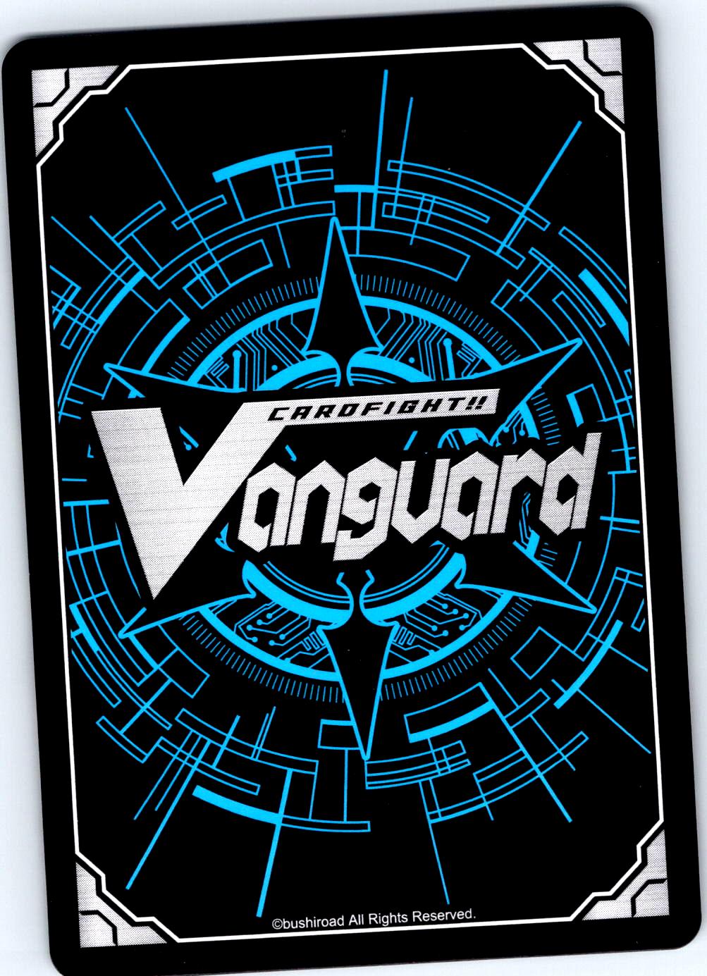 POUNCING ARNABYA DZ-BT10/085EN C CARDFIGHT!! VANGUARD MP