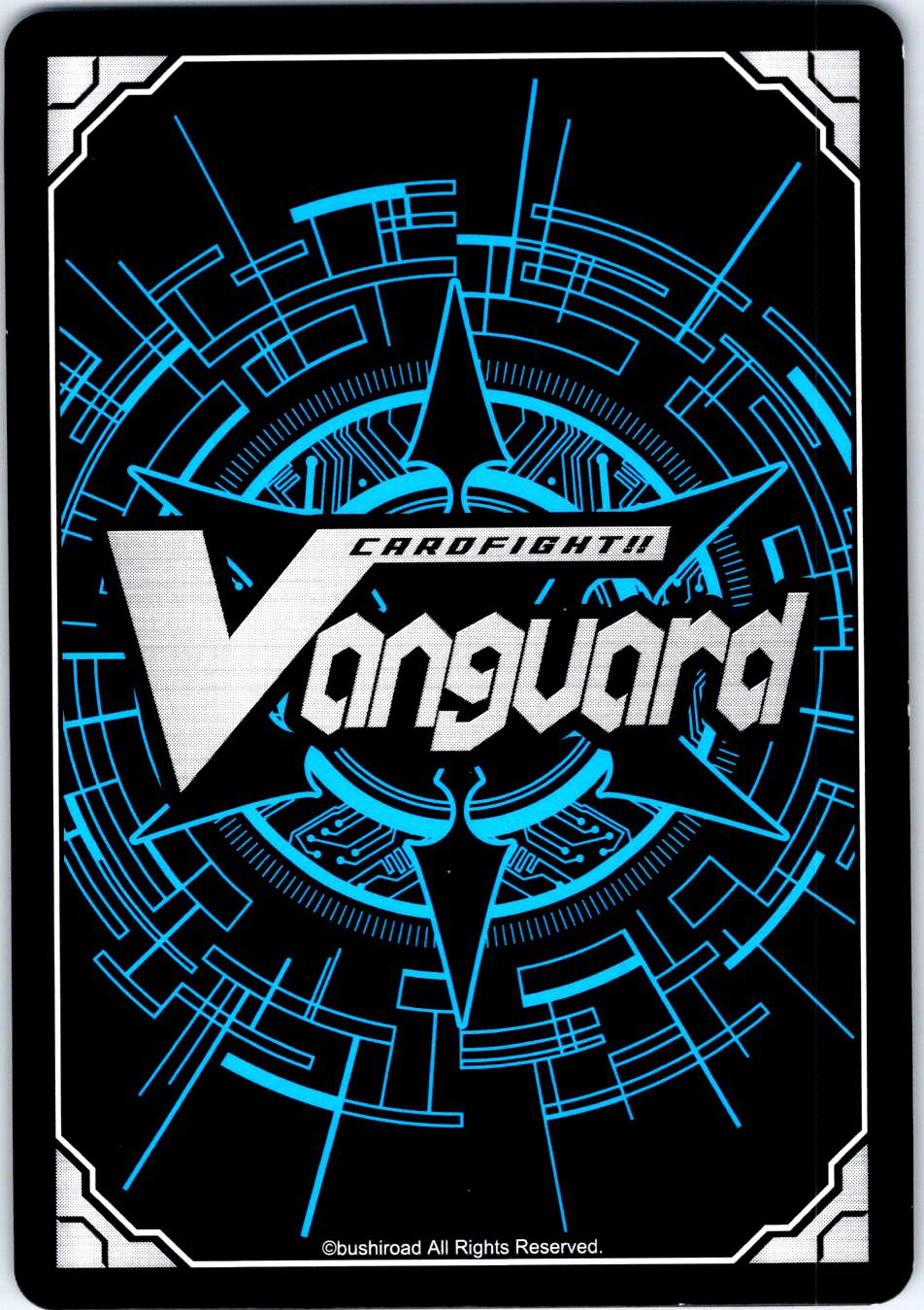 PERFECT TAILORING, CROKEL D-SS05/030EN RR CARDFIGHT!! VANGUARD MP