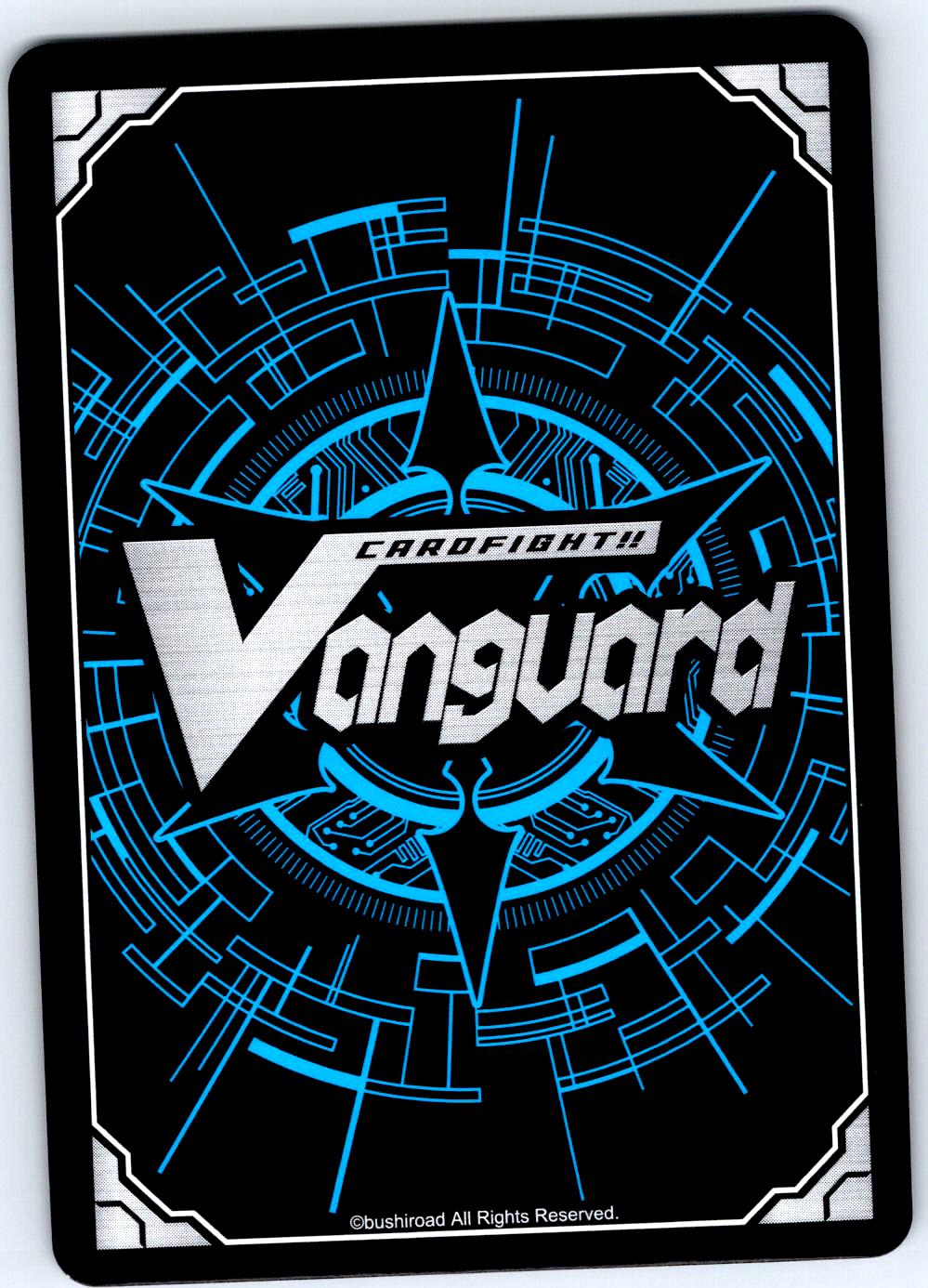 WISH UPON THE MOON D-BT12/063EN C CARDFIGHT!! VANGUARD MP
