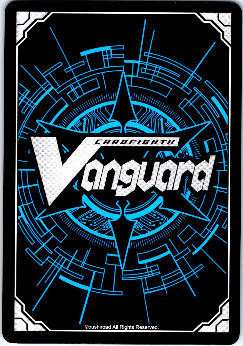 RESULTS OF HELLACIOUS TRAINING D-TB03/073EN R CARDFIGHT!! VANGUARD MP