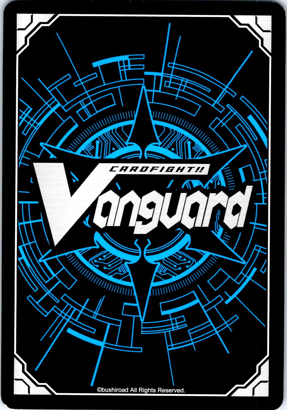 TAPING CAT D-VS02/073EN TRIPLE RARE CARDFIGHT!! VANGUARD MP