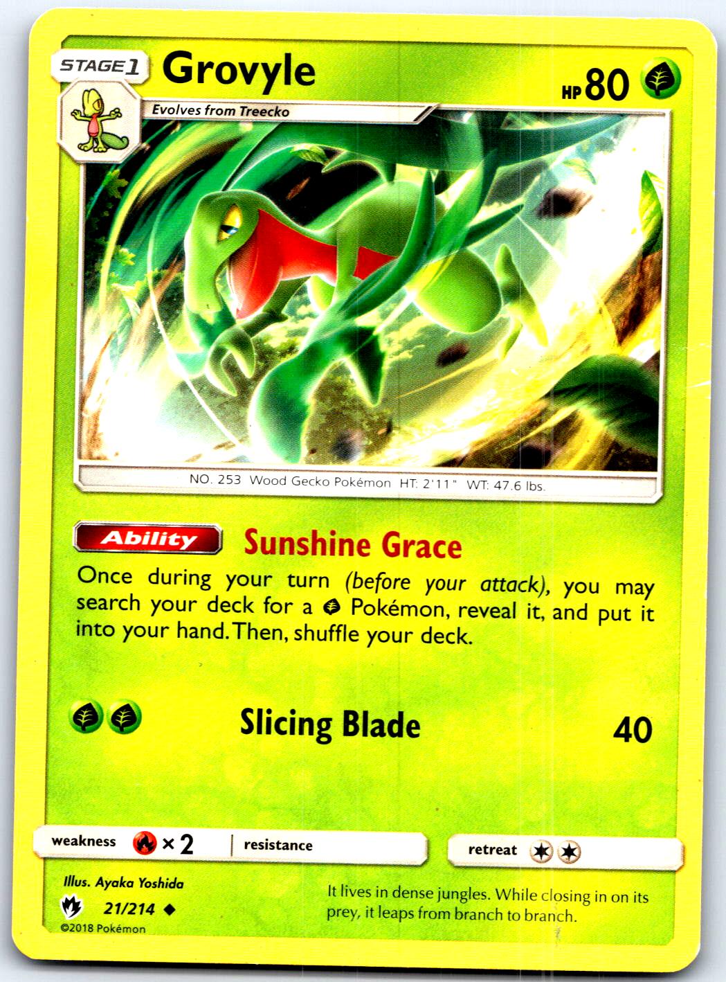 GROVYLE 21/214 UC POKEMON HP