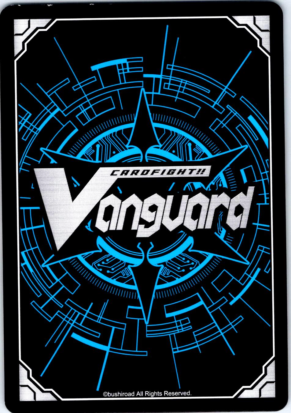 MEALTIME ALONE IN THE ALLEYWAY, PANII DZ-BT04/117EN C CARDFIGHT!! VANGUARD MP