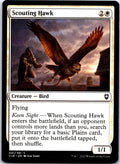 SCOUTING HAWK 41 C MAGIC: THE GATHERING MP